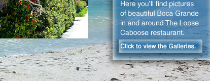 The Loose Caboose Galleries, Boca Grande, FL